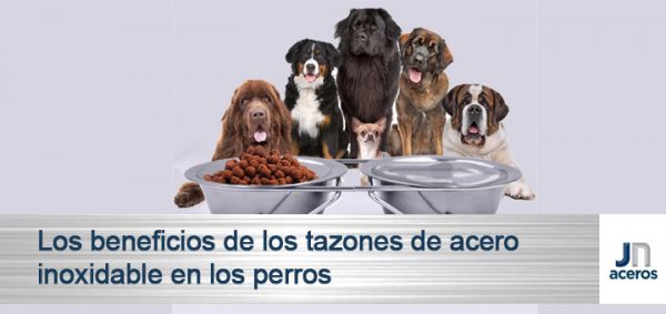 Los beneficios de los tazones de acero inoxidable en los perros